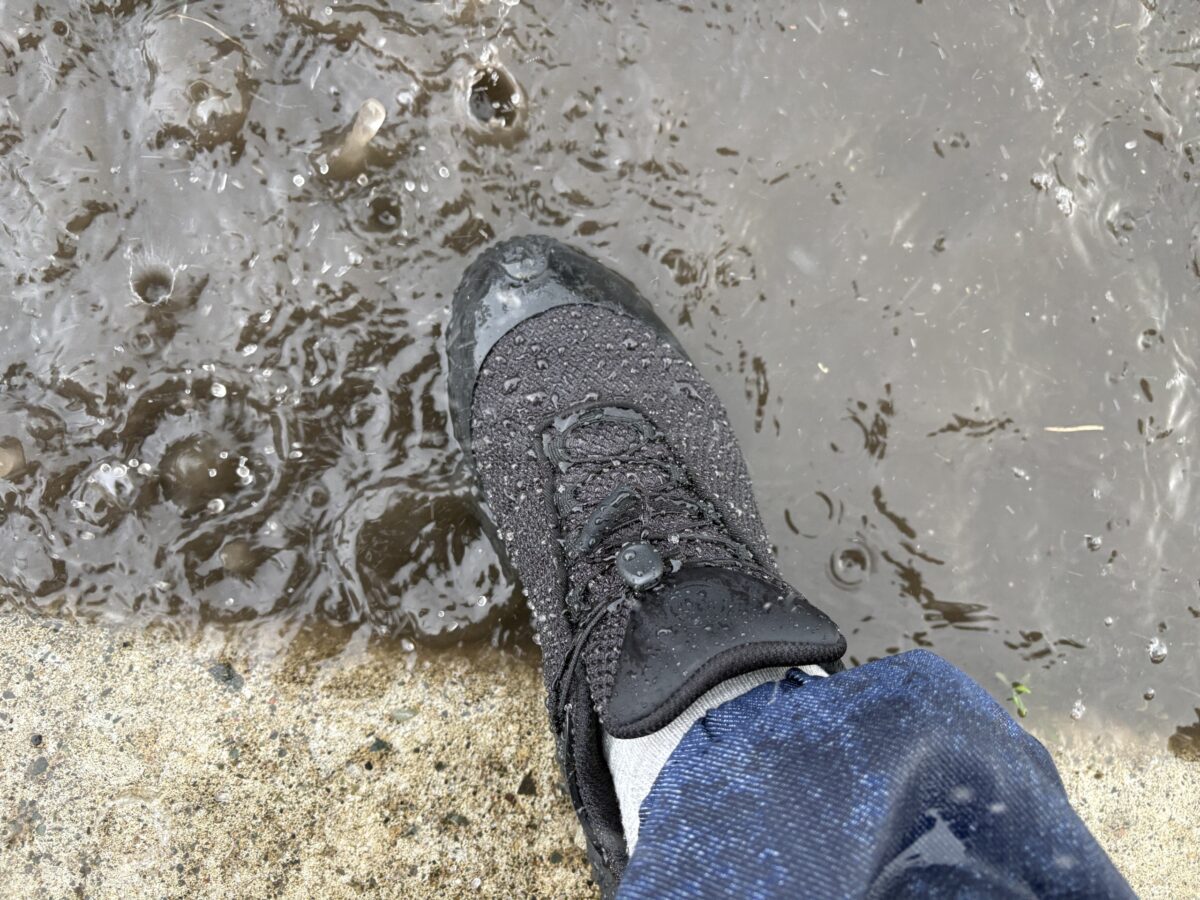 雨の日に水たまりの上へ踏み出したメレル カメレオンの足元
