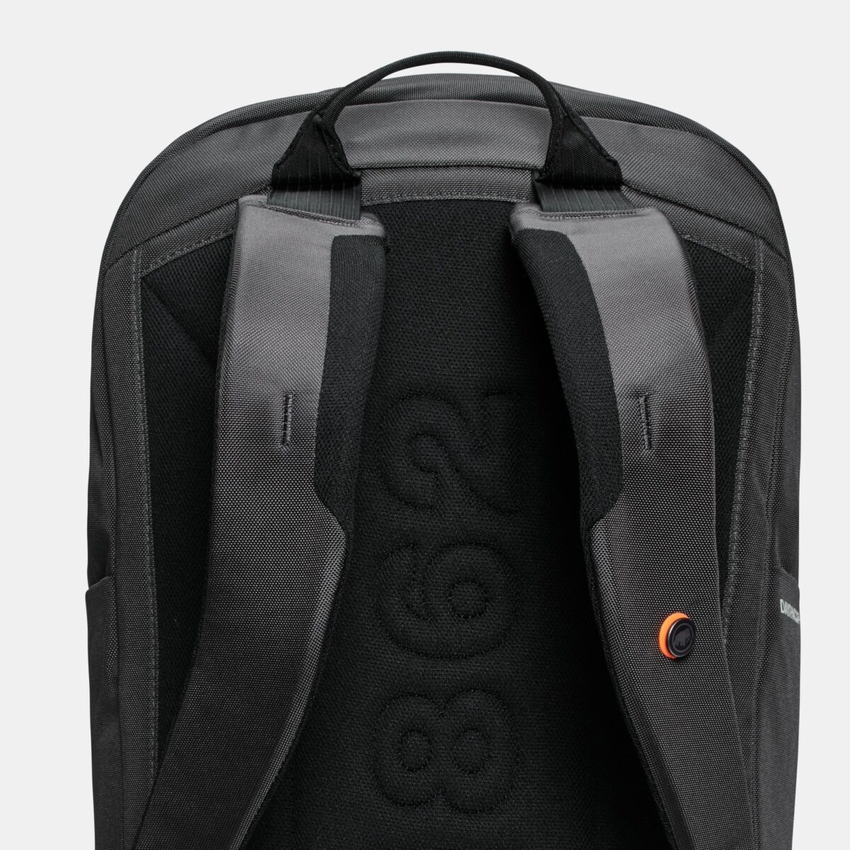 マムート Daypack 25の背面と肩ストラップ